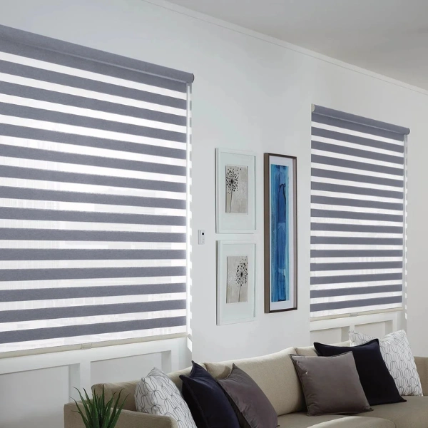 Zebra Shades3